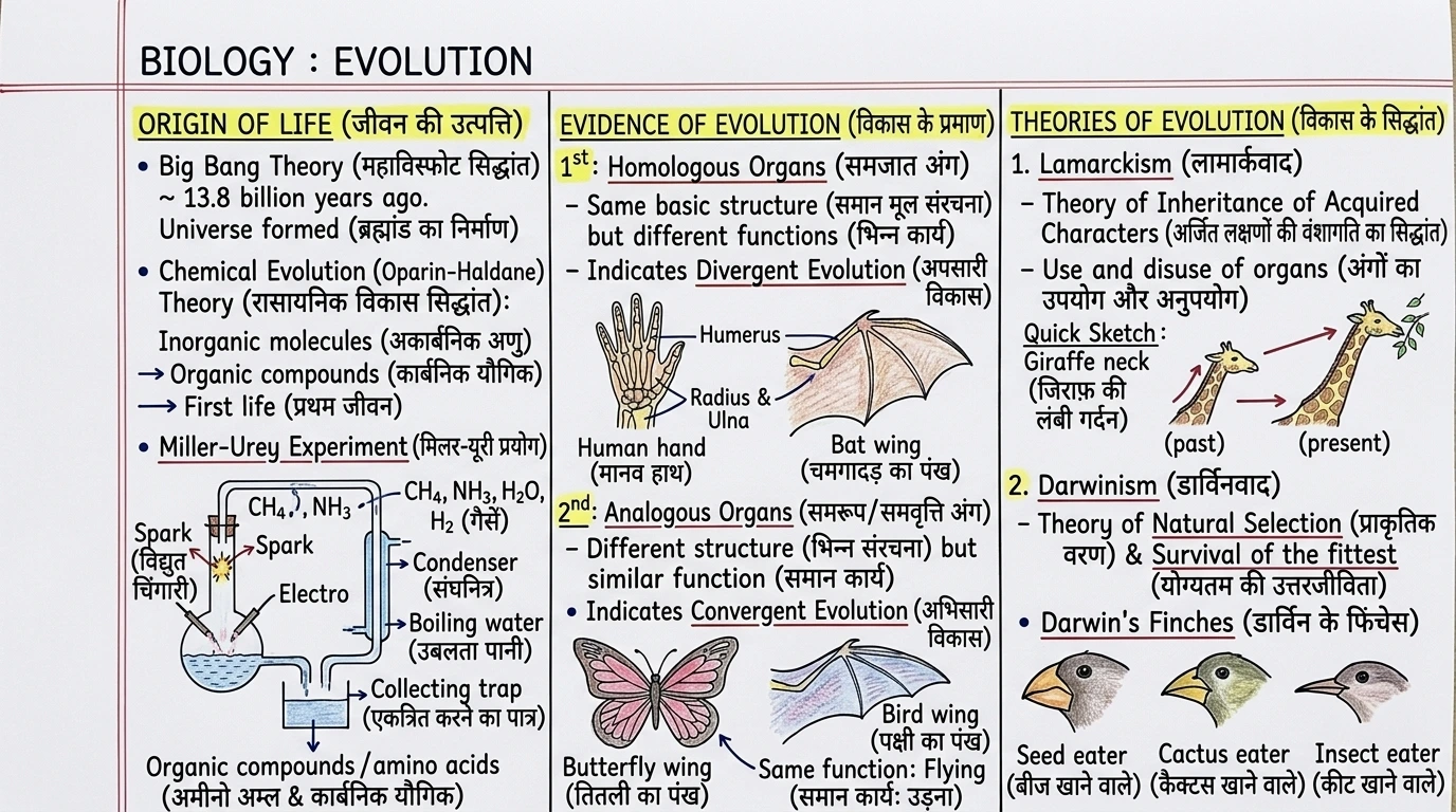 Biology — 3D note 2